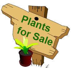 Library Plant Sale @ Sinclairville Free Library