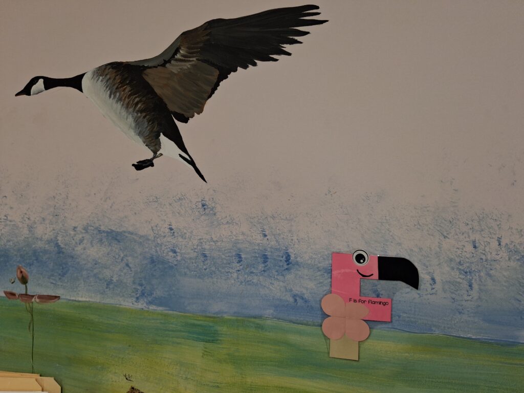 A classroom wall display shows a painted Canada goose flying over green grass and sky, with a pink paper craft shaped like the letter F turned into a smiling flamingo. The craft includes the printed phrase “F is for Flamingo,” adding to the nature‑themed educational décor.
